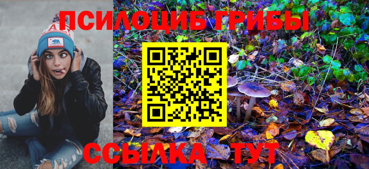 Петропавловск-Камчатский  Псилоцибиновые грибы MAGIC MUSHROOMS  Галлюциногенные грибы мицелий  Вход с VPN 